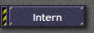 Intern