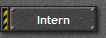 Intern