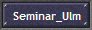 Seminar_Ulm