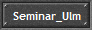 Seminar_Ulm